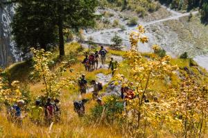 20191013_0441_bayr Ramsau_Wimbachtal_KLF